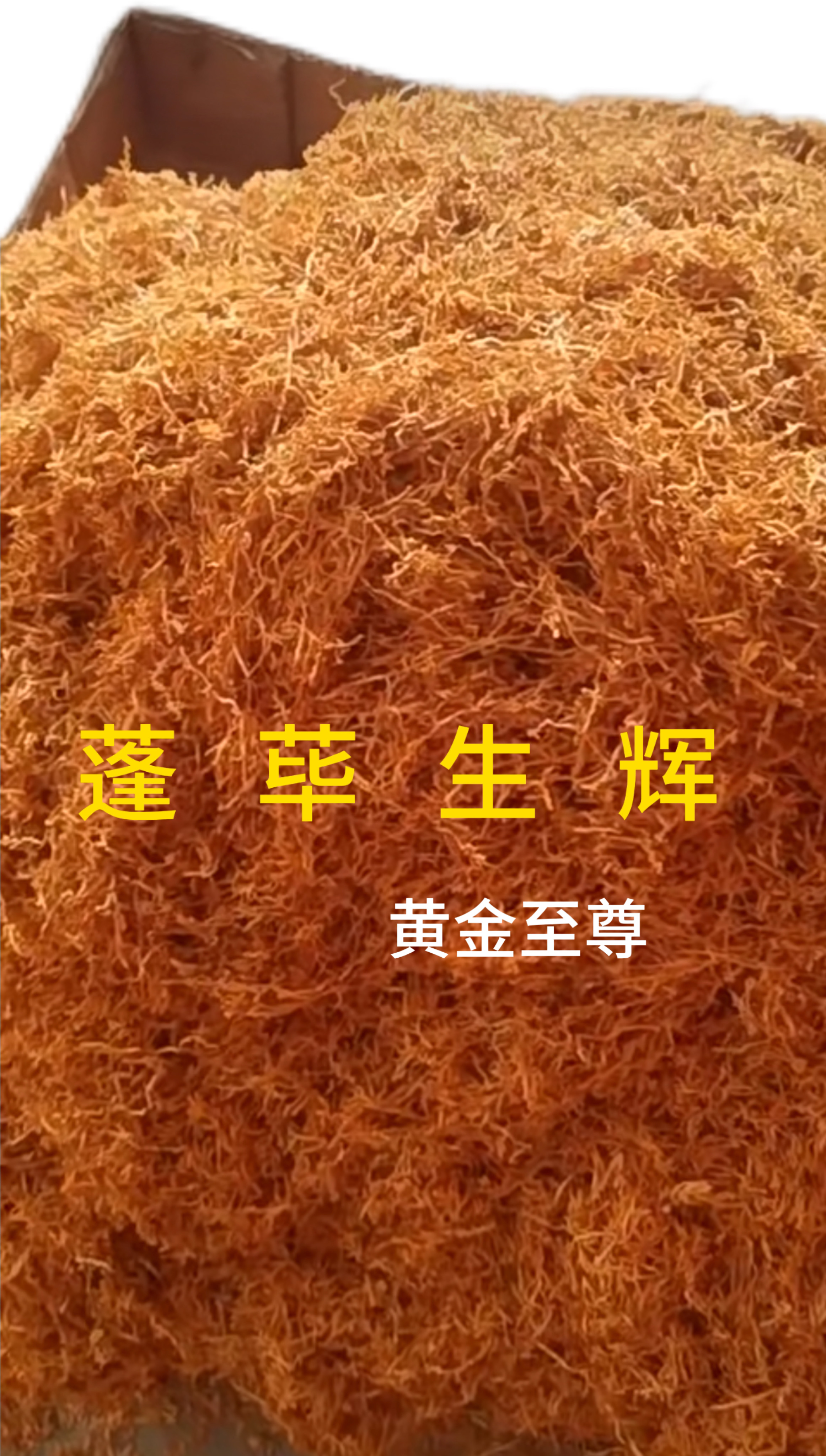 看看你的黄金叶是真假